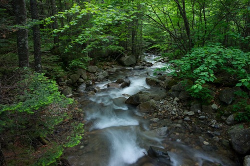 Dry Brook, White Mountain National Forest, New Hampshire (3934 SA).jpg Dry Brook, White Mountain National Forest, New Hampshire (3934 SA).jpg